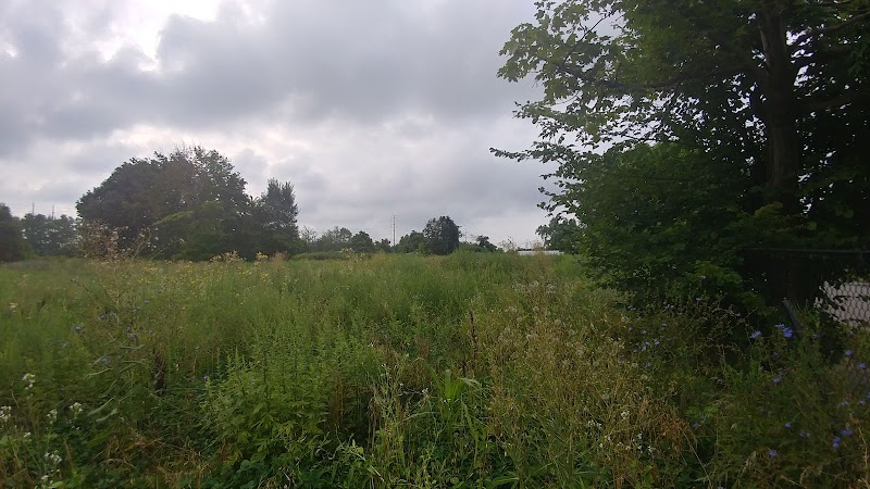 Kinsman Farm Cleveland atmosphere