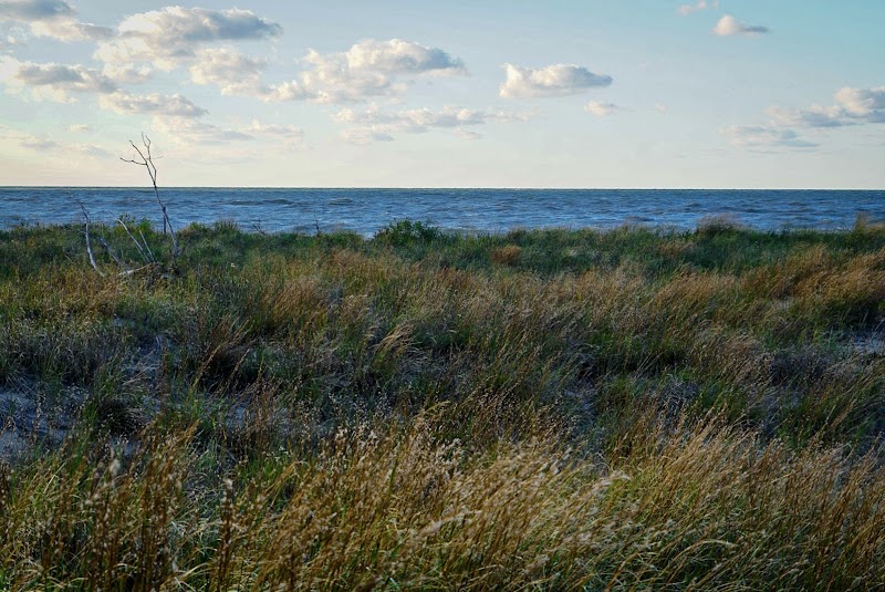 Headland Dunes State Nature Preserve Cleveland interior