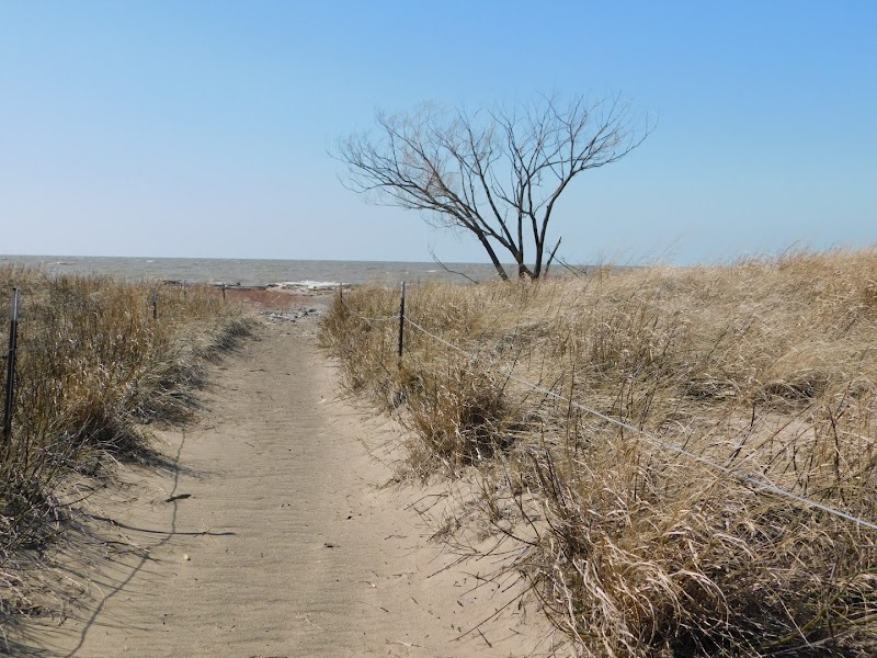 Headland Dunes State Nature Preserve Cleveland atmosphere