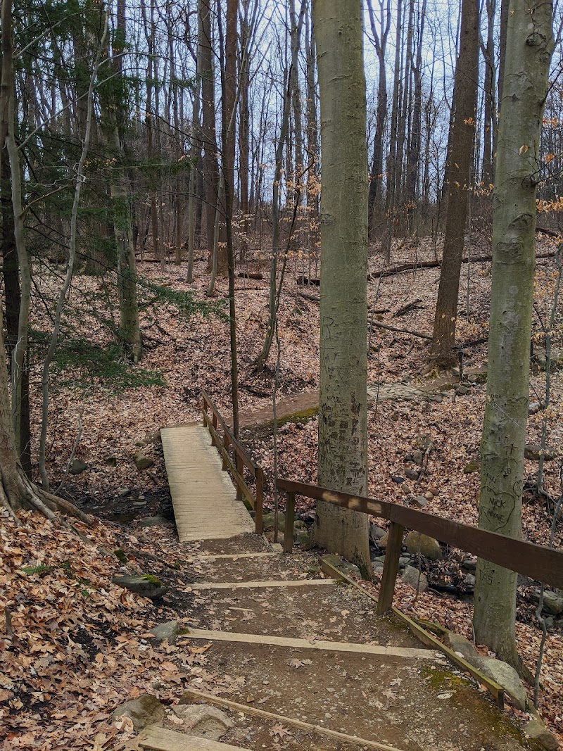 F.A. Seiberling Nature Realm Cleveland atmosphere