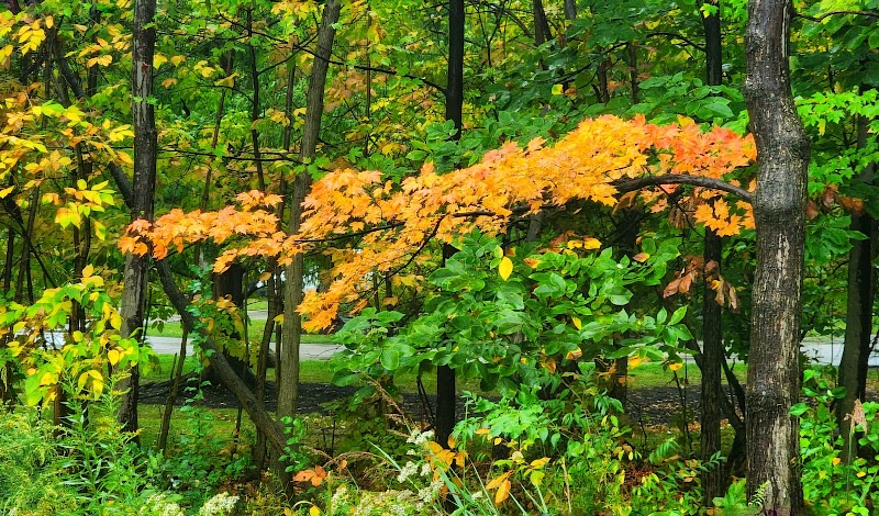 Cleveland Metroparks Administration Office Cleveland atmosphere