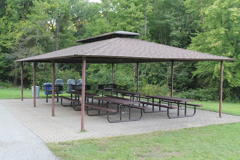 Albion Woods Picnic Area in Cleveland