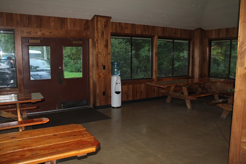 Albion Woods Picnic Area Cleveland atmosphere