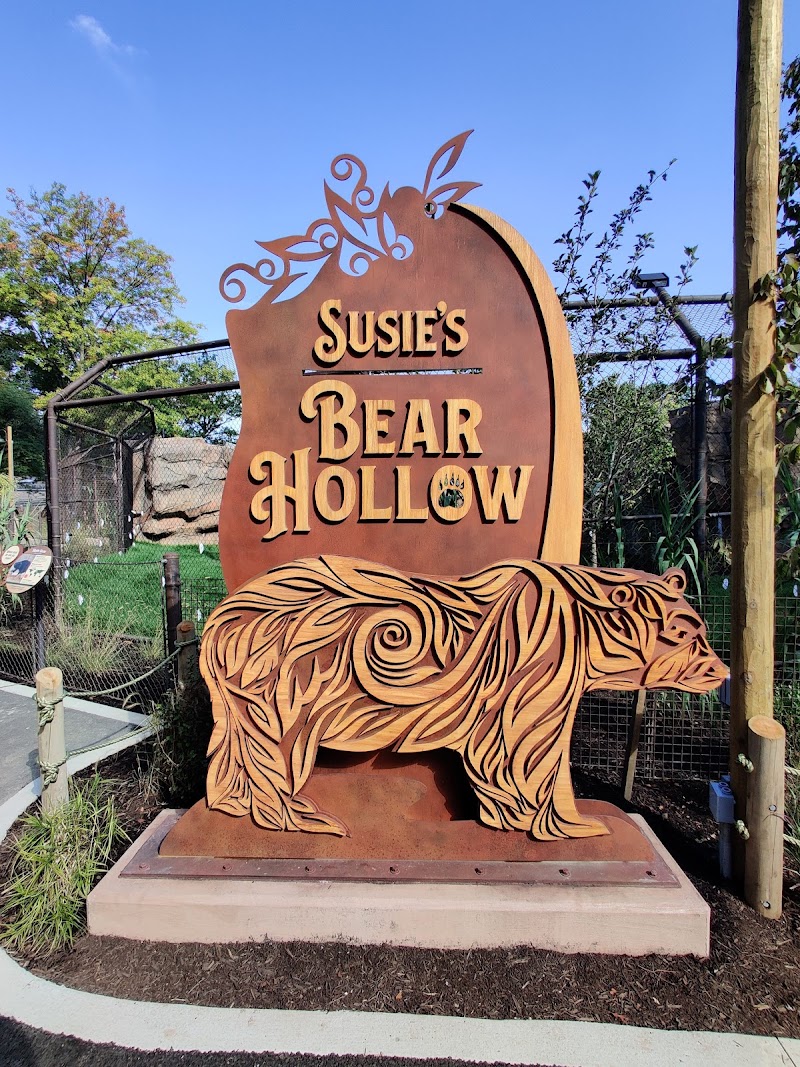 Susie's Bear Hollow in Cleveland