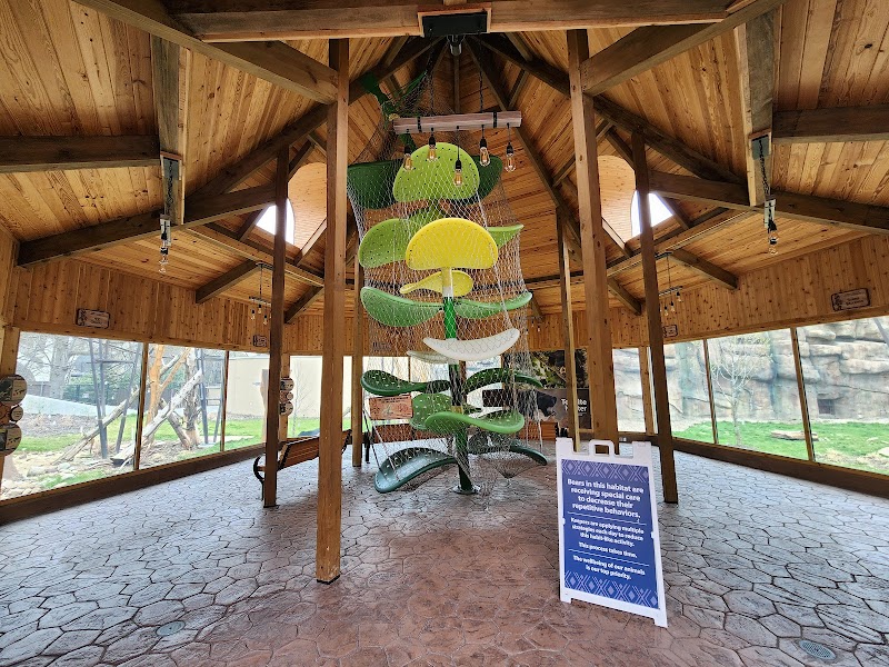 Susie's Bear Hollow Cleveland interior
