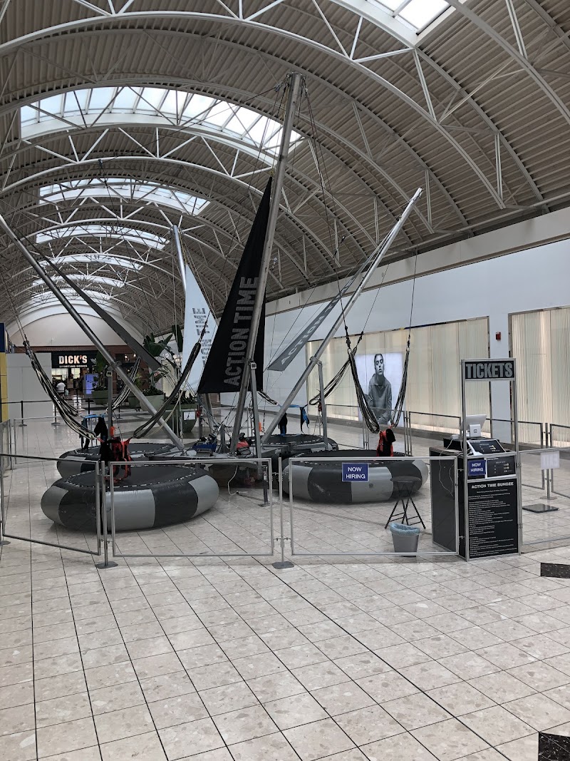 Bungee Jumping Trampoline Cleveland interior