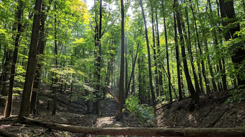 Cleveland Metroparks in Cleveland