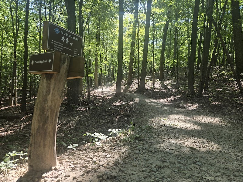 Cleveland Metroparks Cleveland interior