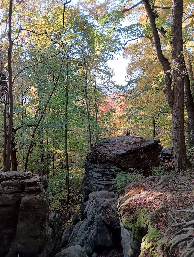 Cleveland Metroparks Hinckley Reservation