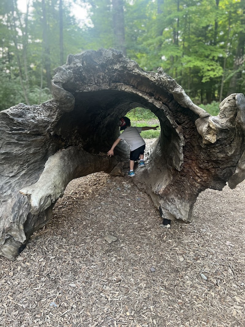 Andrew's Nature Play Area Cleveland interior