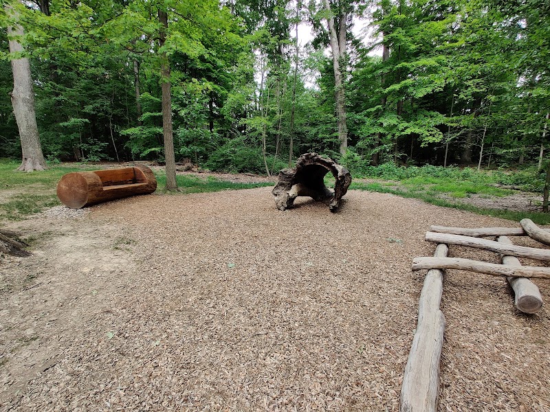 Andrew's Nature Play Area Cleveland atmosphere