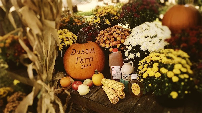 Dussel Farm Cleveland interior
