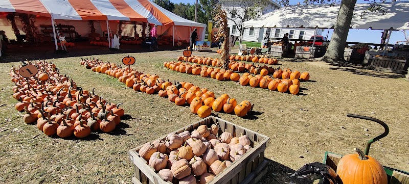 Dussel Farm Cleveland atmosphere