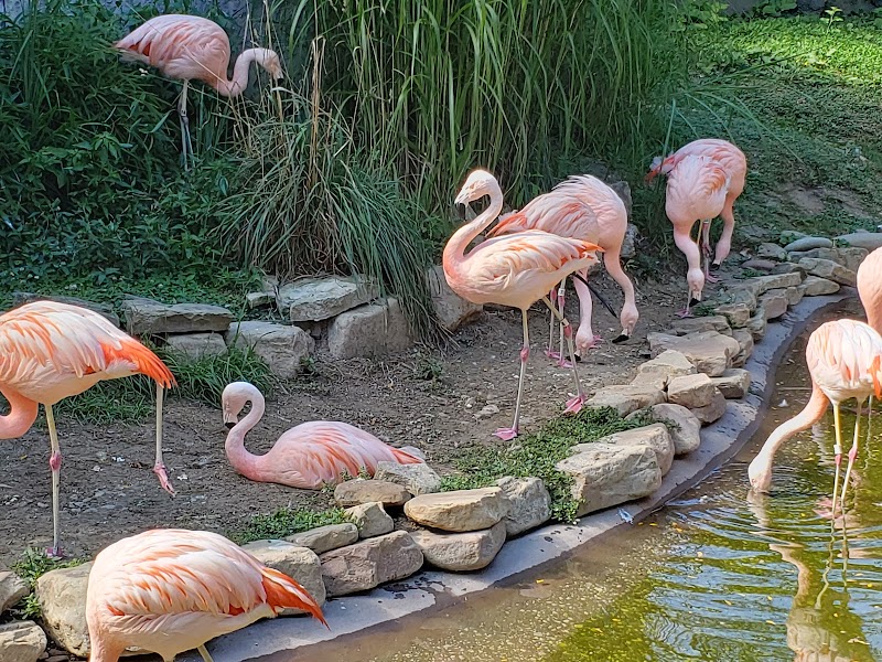 Akron Zoo Cleveland interior