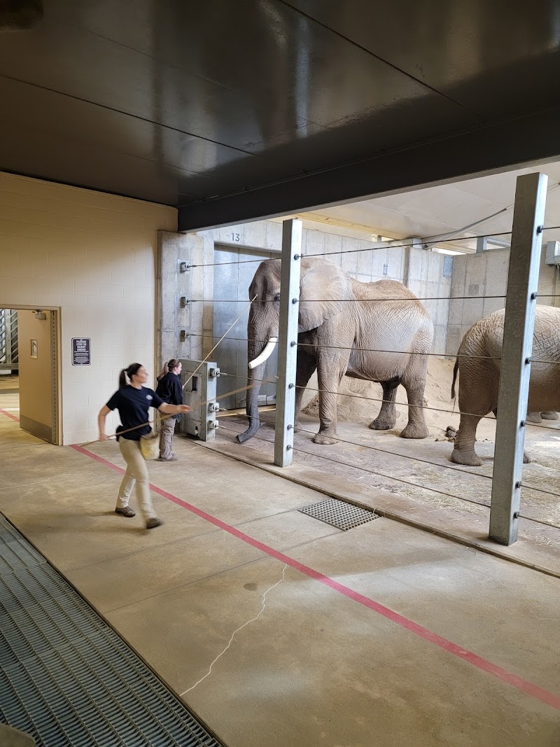 Zoo Auditorium