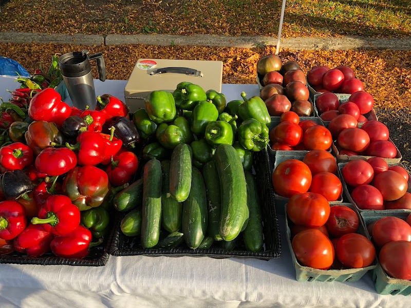 Oberlin Farmers Market Cleveland atmosphere