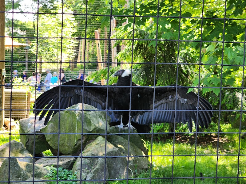 Aquarium & Zoo Facilities Association Cleveland atmosphere