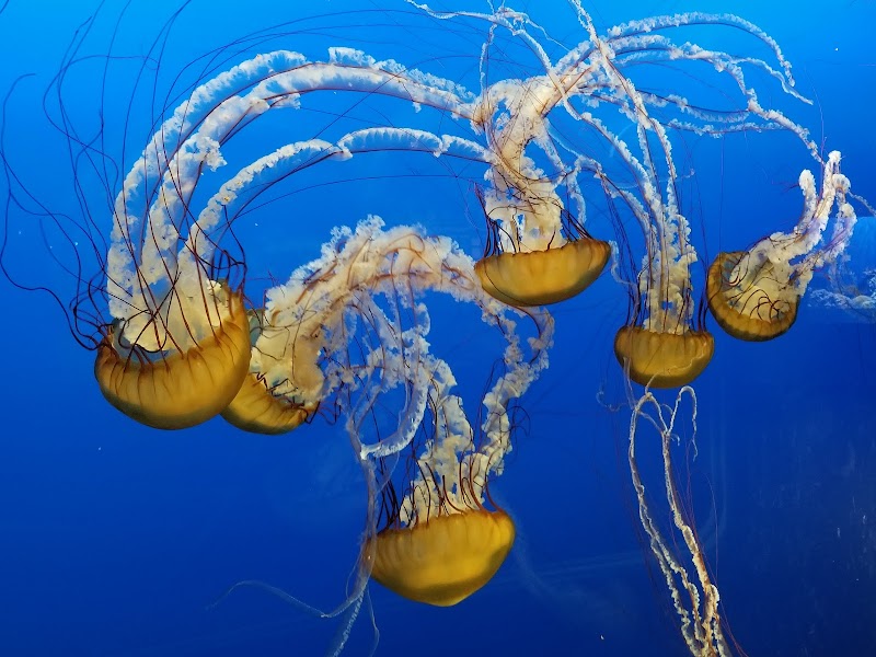 Toledo Zoo Aquarium Cleveland interior