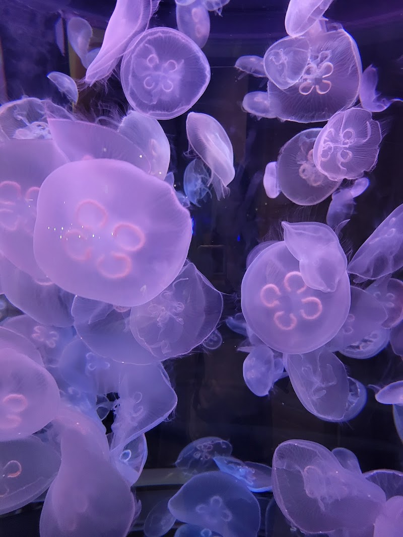 Toledo Zoo Aquarium Cleveland atmosphere
