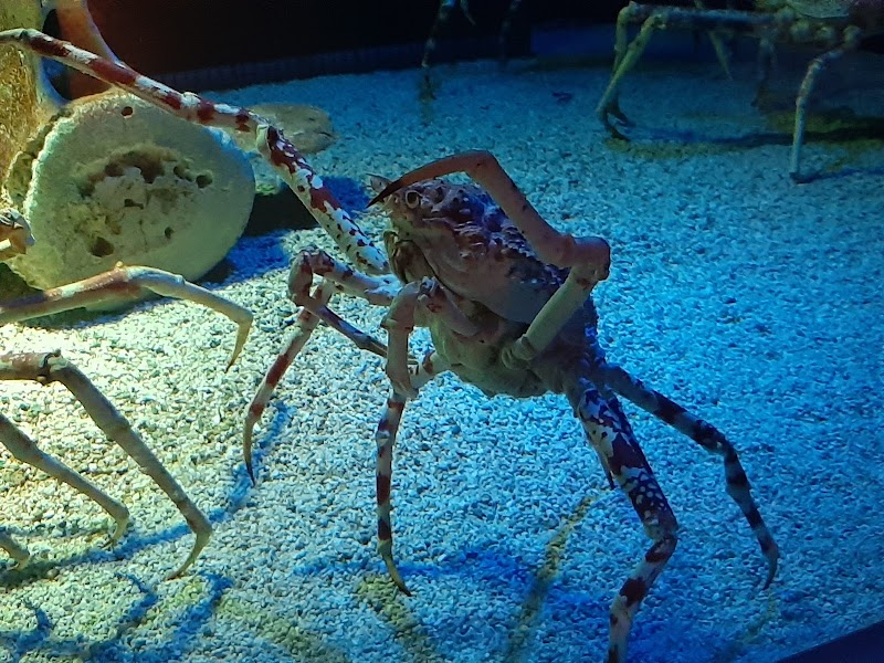 Toledo Zoo Aquarium Cleveland atmosphere