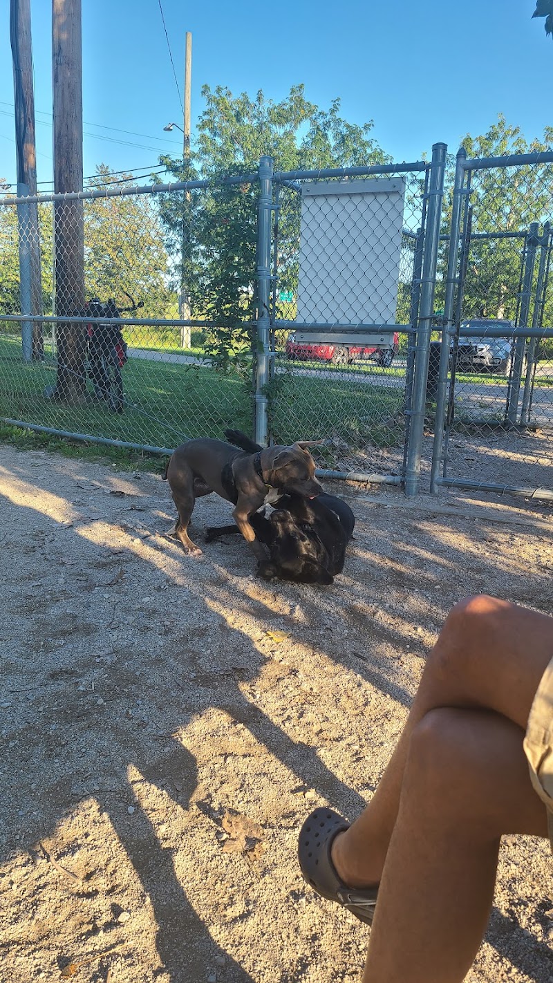Dog Park