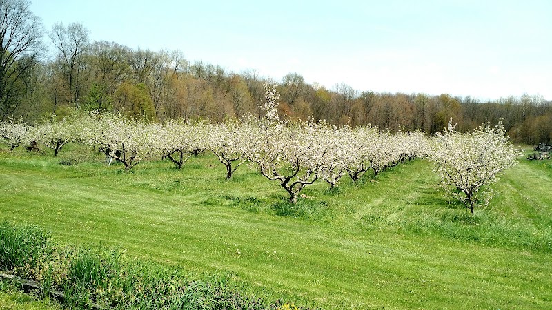 Blue Jay Orchard Cleveland atmosphere
