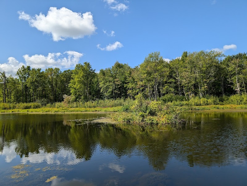 North Chagrin Reservation Cleveland atmosphere