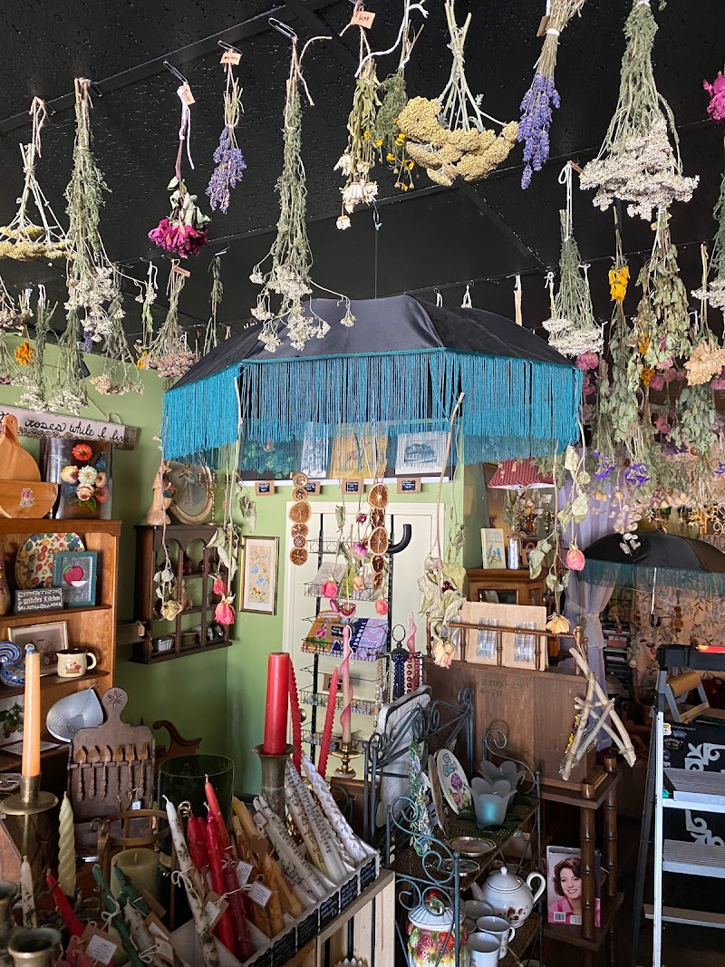 Magically Found Cleveland interior