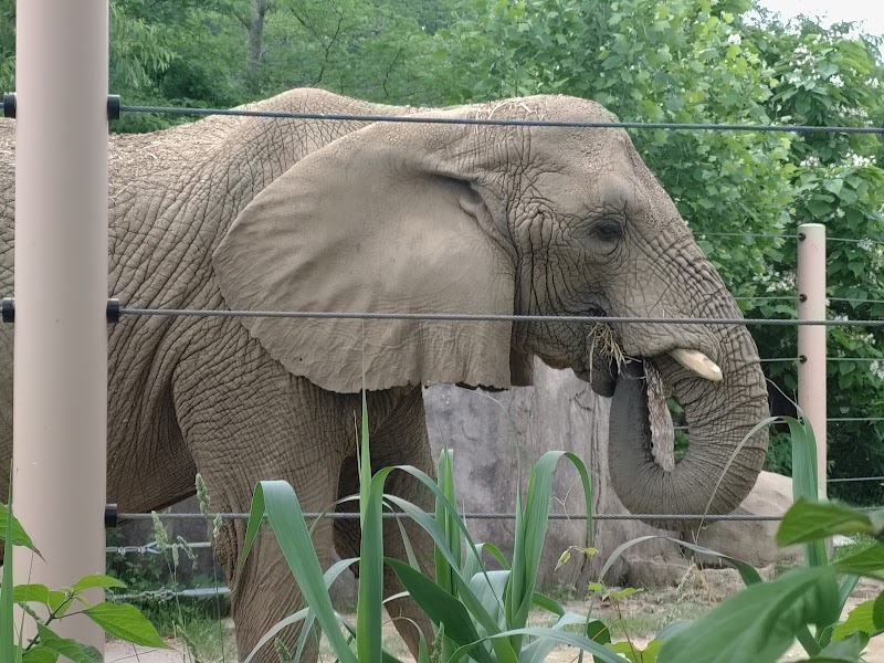 Cleveland Zoological Society