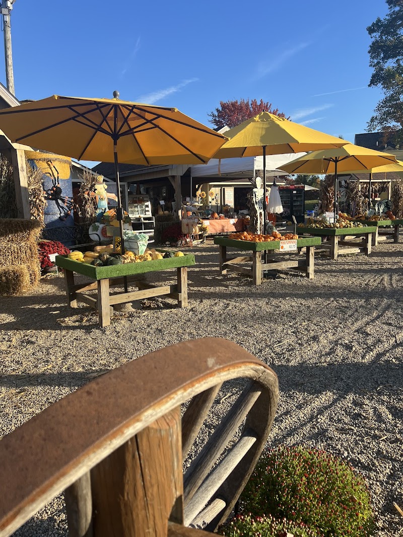 Mulberry Corners Pumpkins in Cleveland