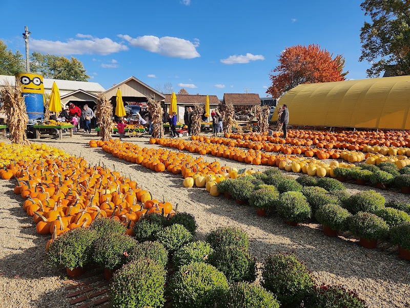 Mulberry Corners Pumpkins Cleveland interior