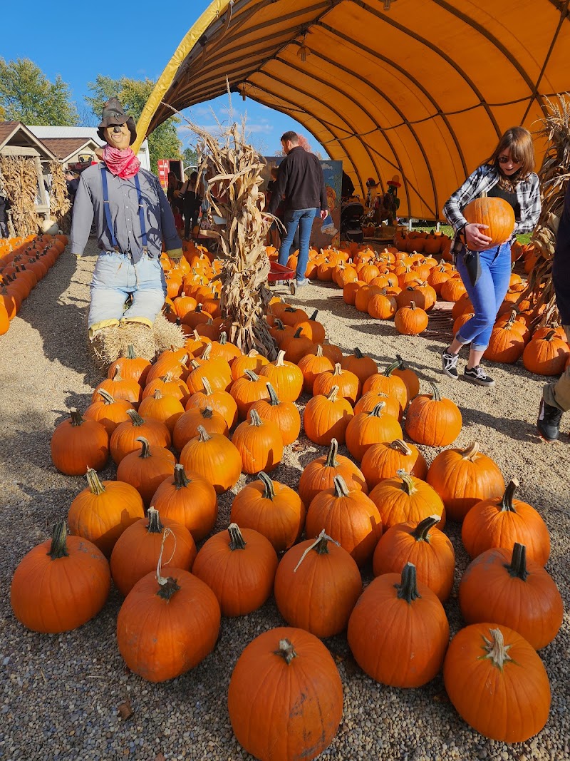 Mulberry Corners Pumpkins Cleveland atmosphere