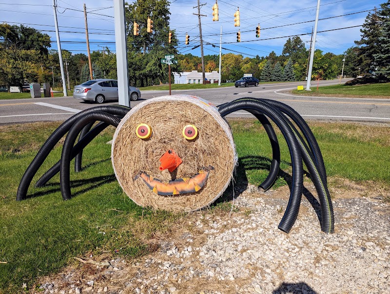Mulberry Corners Pumpkins Cleveland atmosphere