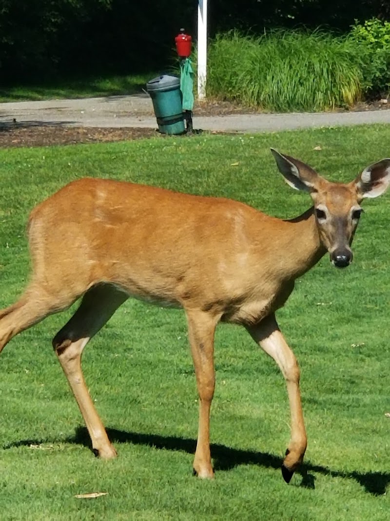 Washington Learning Center Golf Course Cleveland atmosphere