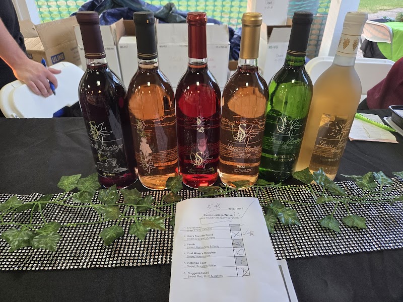 Vintage Ohio Wine Festival Cleveland atmosphere