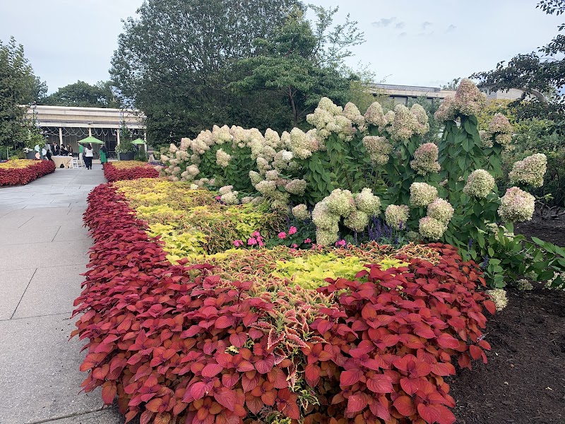 Mary Ann Sears Swetland Rose Garden Cleveland interior