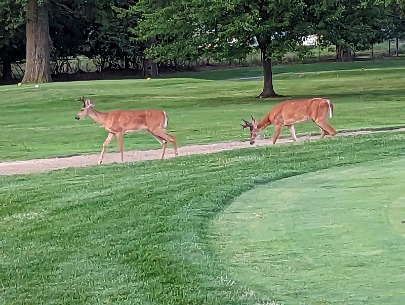 Briardale Greens Golf Course Cleveland atmosphere