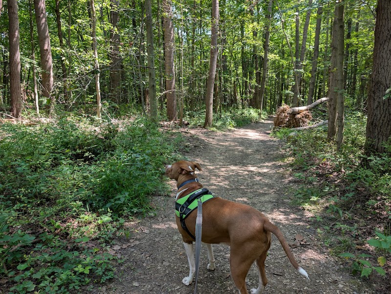 Oak Hill Trailhead Cleveland atmosphere