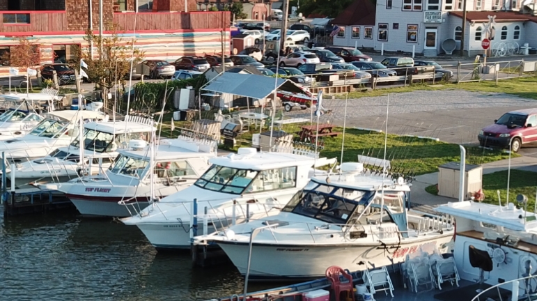 Top Flight Sport Fishing in Cleveland