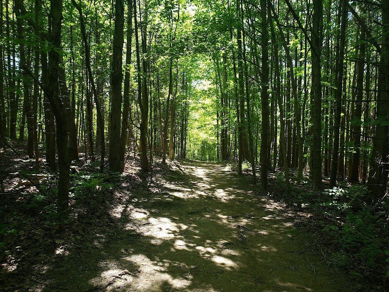 Tree Farm Trail Cleveland interior