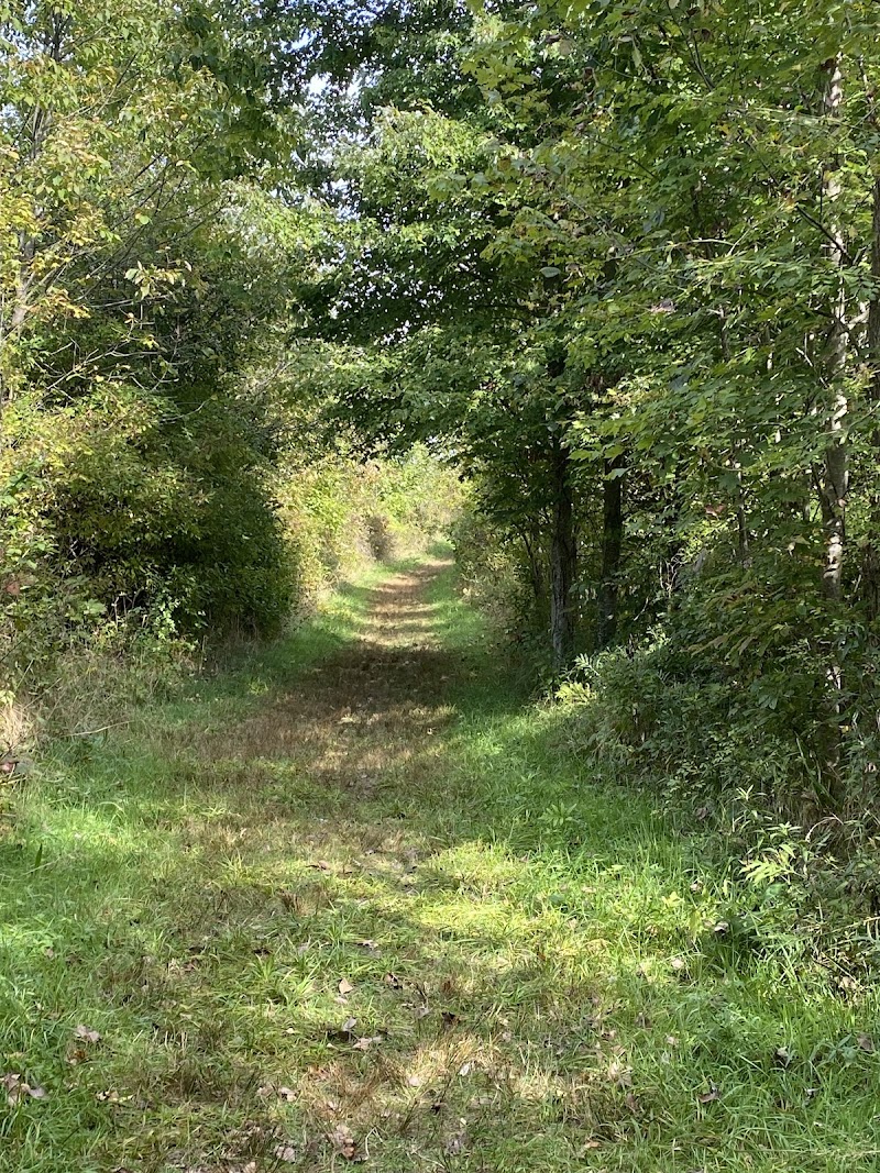 Tree Farm Trail Cleveland atmosphere