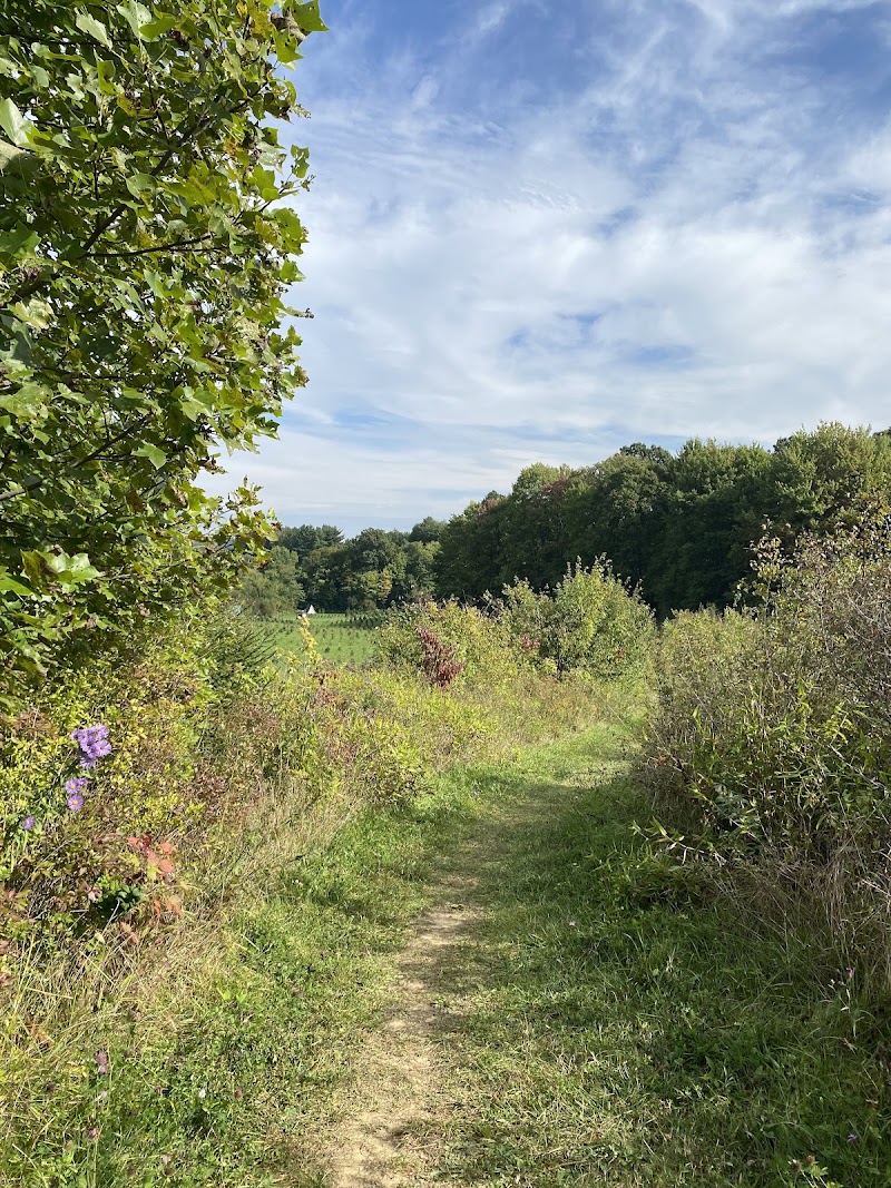 Tree Farm Trail Cleveland atmosphere