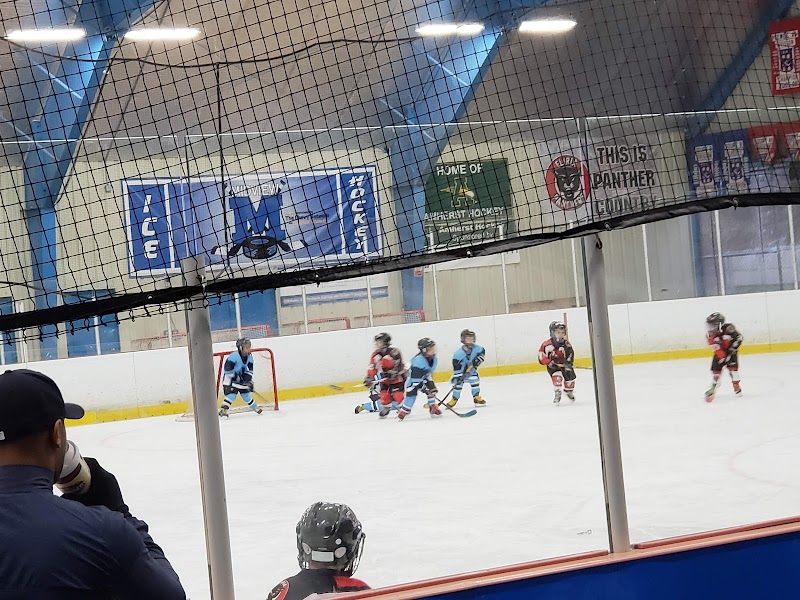 North Park Ice Arena/ Pool Cleveland atmosphere