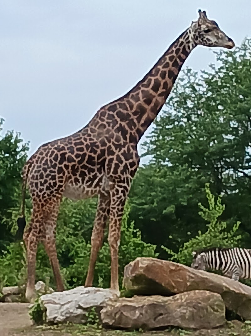 Pittsburgh Zoo & Aquarium Cleveland interior