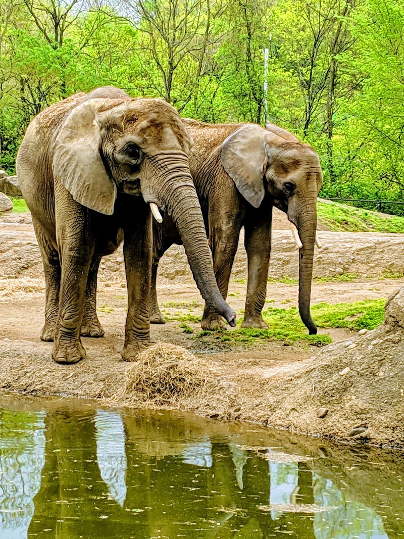 Pittsburgh Zoo & Aquarium Cleveland atmosphere