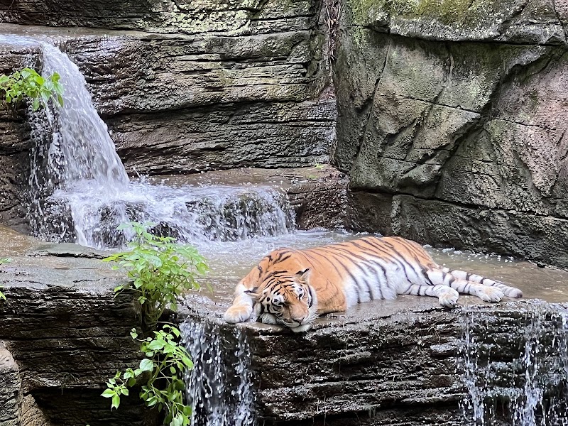 Pittsburgh Zoo & Aquarium Cleveland atmosphere