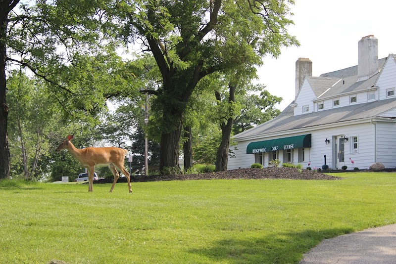 Ridgewood Golf Course Cleveland atmosphere