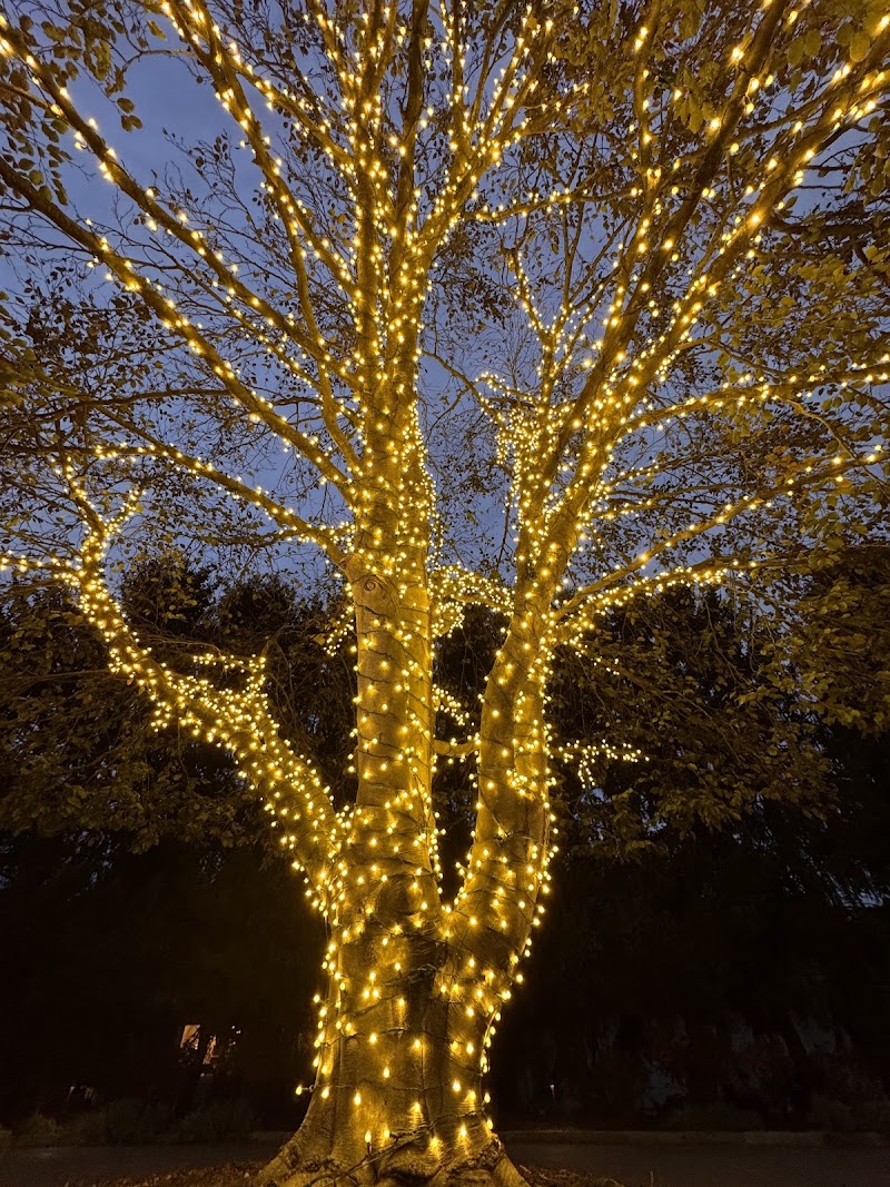 Frey Bros Christmas Lights Installation Cleveland interior