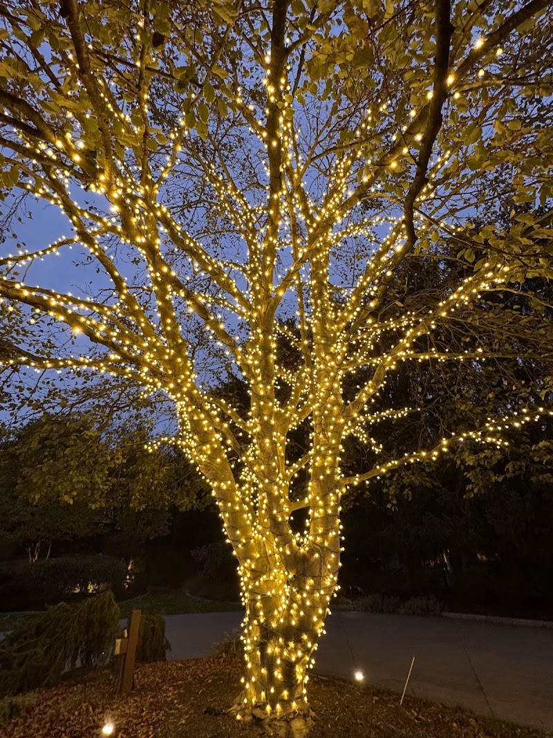 Frey Bros Christmas Lights Installation Cleveland atmosphere