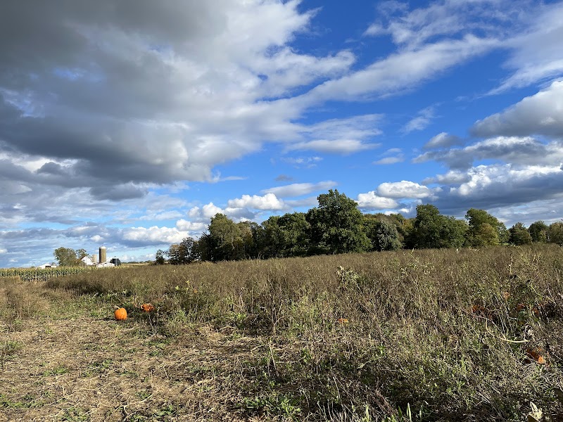 Guyette Farms in Cleveland